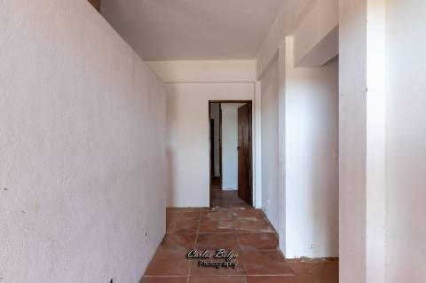Courela da Silvestrinha: Sustentabilidade e Alta Tecnologia no Alentejo