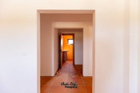 Courela da Silvestrinha: Sustentabilidade e Alta Tecnologia no Alentejo
