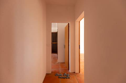 Courela da Silvestrinha: Sustentabilidade e Alta Tecnologia no Alentejo