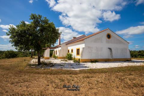 Courela da Silvestrinha: Sustentabilidade e Alta Tecnologia no Alentejo