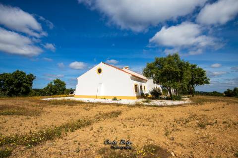 Courela da Silvestrinha: Sustentabilidade e Alta Tecnologia no Alentejo