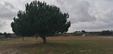 Terreno com Ruína