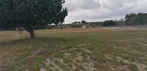 Terreno com Ruína