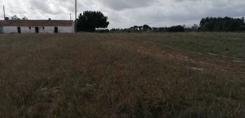 Terreno com Ruína
