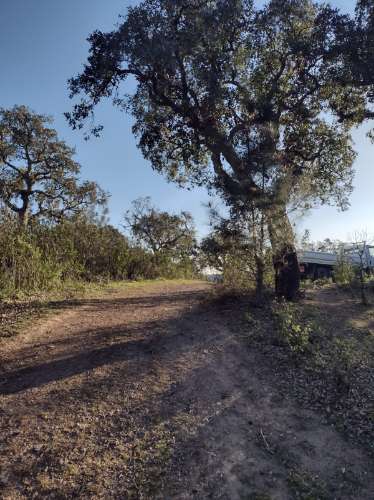 Terreno , projecto de dependência agrícola (Monte Alentejano)