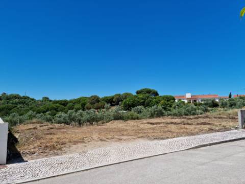 Lote Urbano