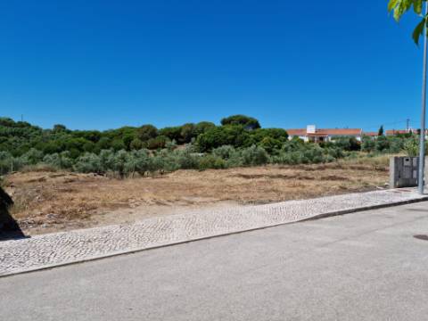Lote Urbano