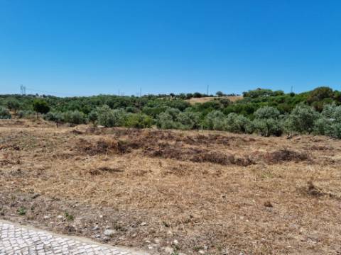 Lote Urbano