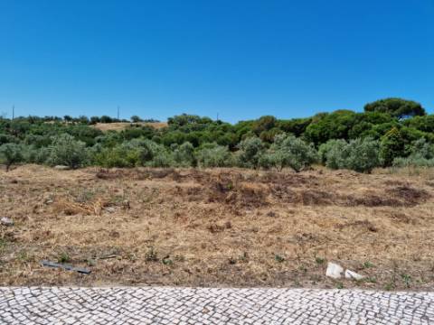 Lote Urbano