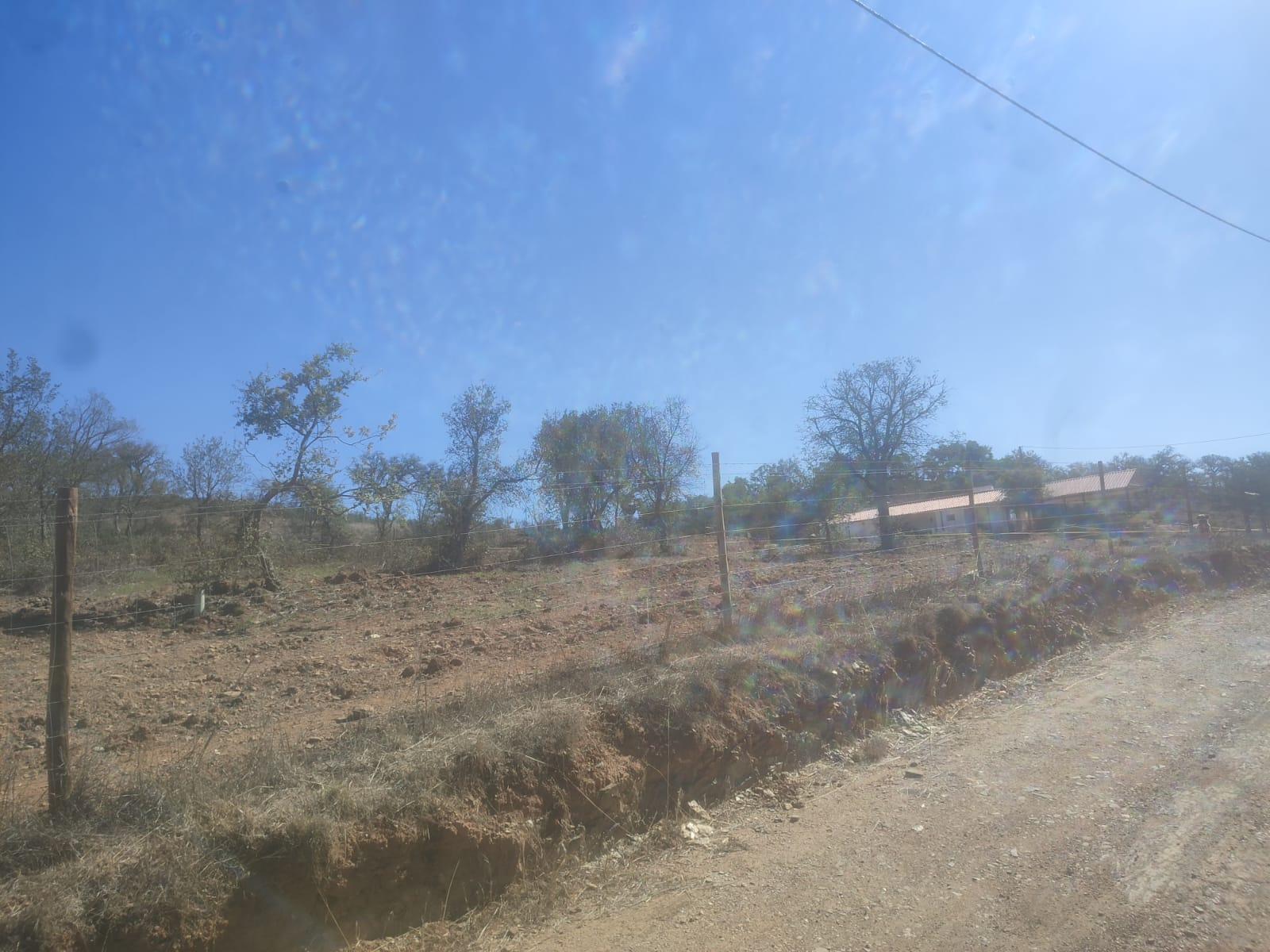 monte Alentejano