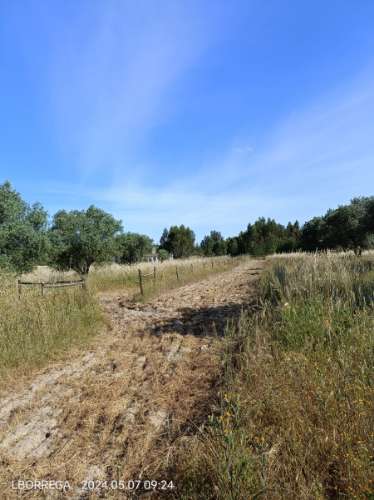 Quinta Alentejana