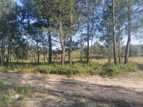 Terreno a poucos minutos de Melides