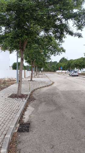Lote 2 para construção em Melides