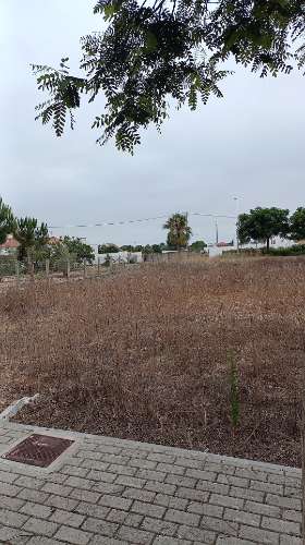 Lote 4 para construção - Melides