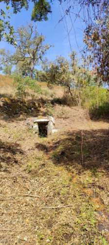 Monte Alentejano