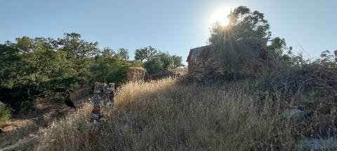 Monte Alentejano
