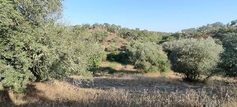 Monte Alentejano