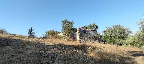 Monte Alentejano