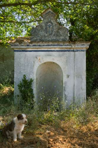 Quinta Agrícola vinícola