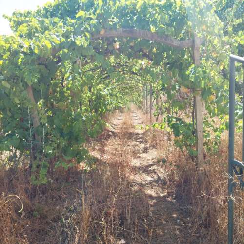 Quinta Serra de Grândola