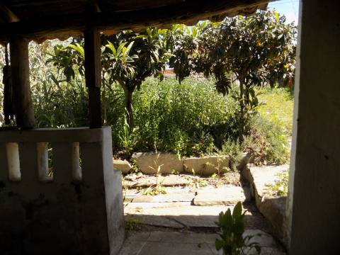 Casa Típica Alentejana