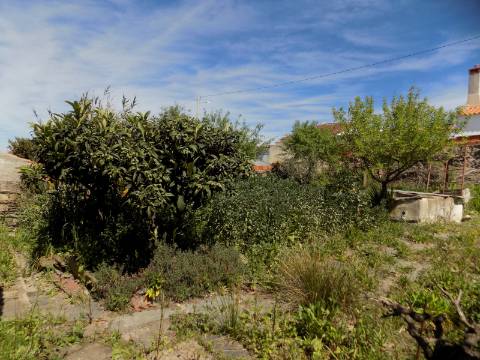 Casa Típica Alentejana