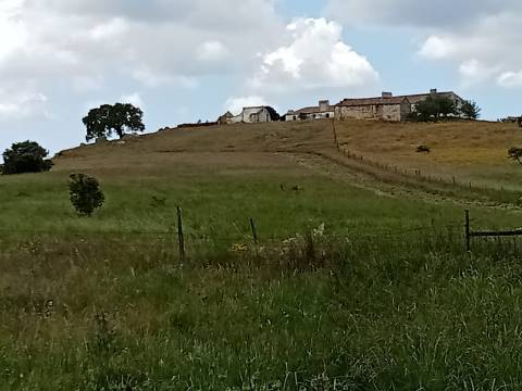 Monte Alentejano
