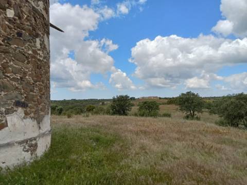 Monte Alentejano
