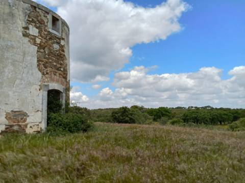 Monte Alentejano
