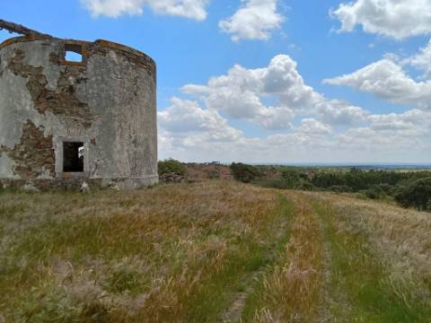 Monte Alentejano
