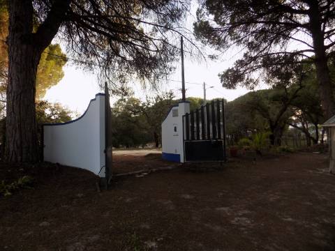 Terreno (tem um T0)