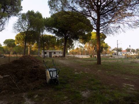 Terreno (tem um T0)