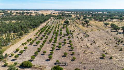 Oportunidade Estratégica: Hub Logístico e Residencial Privilegiado em Grândola, Alentejo Litoral