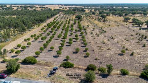 Oportunidade Estratégica: Hub Logístico e Residencial Privilegiado em Grândola, Alentejo Litoral