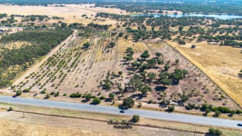 Oportunidade Estratégica: Hub Logístico e Residencial Privilegiado em Grândola, Alentejo Litoral