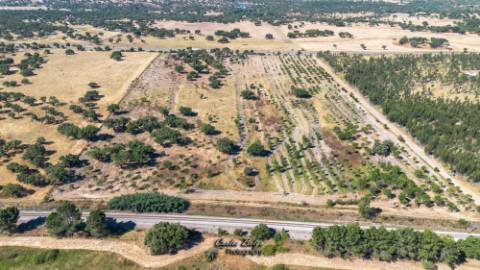 Oportunidade Estratégica: Hub Logístico e Residencial Privilegiado em Grândola, Alentejo Litoral