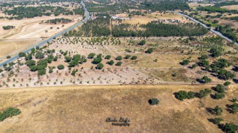 Oportunidade Estratégica: Hub Logístico e Residencial Privilegiado em Grândola, Alentejo Litoral