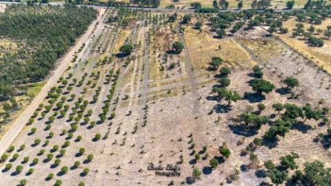 Oportunidade Estratégica: Hub Logístico e Residencial Privilegiado em Grândola, Alentejo Litoral