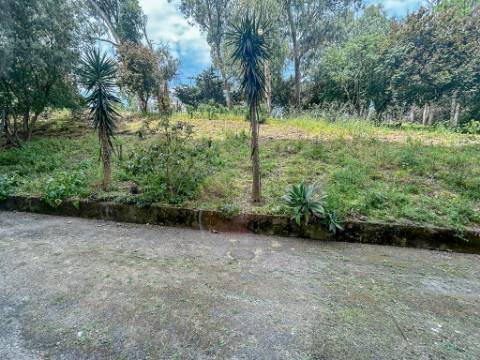 Apartamento T2 à Venda na Rua Dr. João de Barros, Benfica