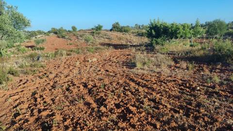 Terreno em Moncarapacho com 20240m2