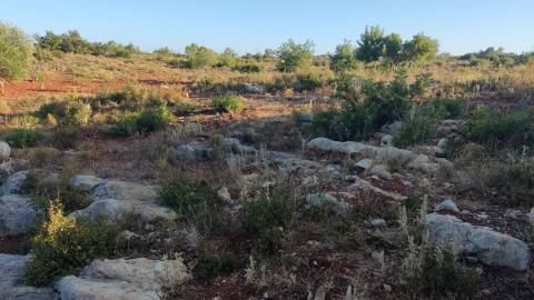 Terreno em Moncarapacho com 20240m2