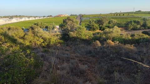 Terreno em Moncarapacho com 20240m2
