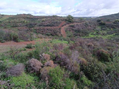 TERRENO COM 59.520 M2 - COM POSSIBILIDADE DE CONSTRUIR - MORADIA - TURISMO - BOTELHAS EM CASTRO MARIM - ALGARVE