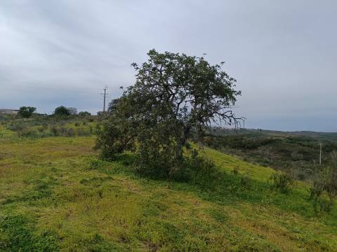 TERRENO COM 34.500 M2 - POSSIBILIDADE DE CONSTRUÇÃO DE ARMAZEM - ÁGUA E LUZ - SENTINELA - CASTRO MARIM - ALGARVE