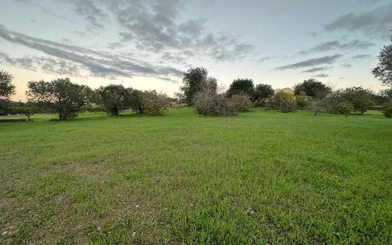 Terreno Rustico