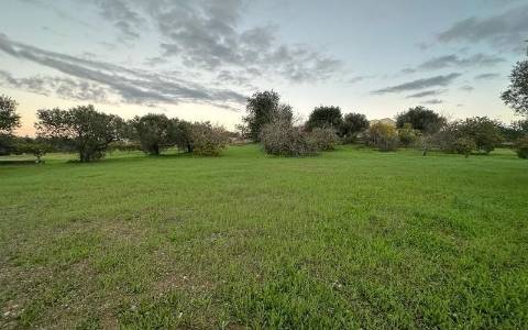 Terreno Rustico