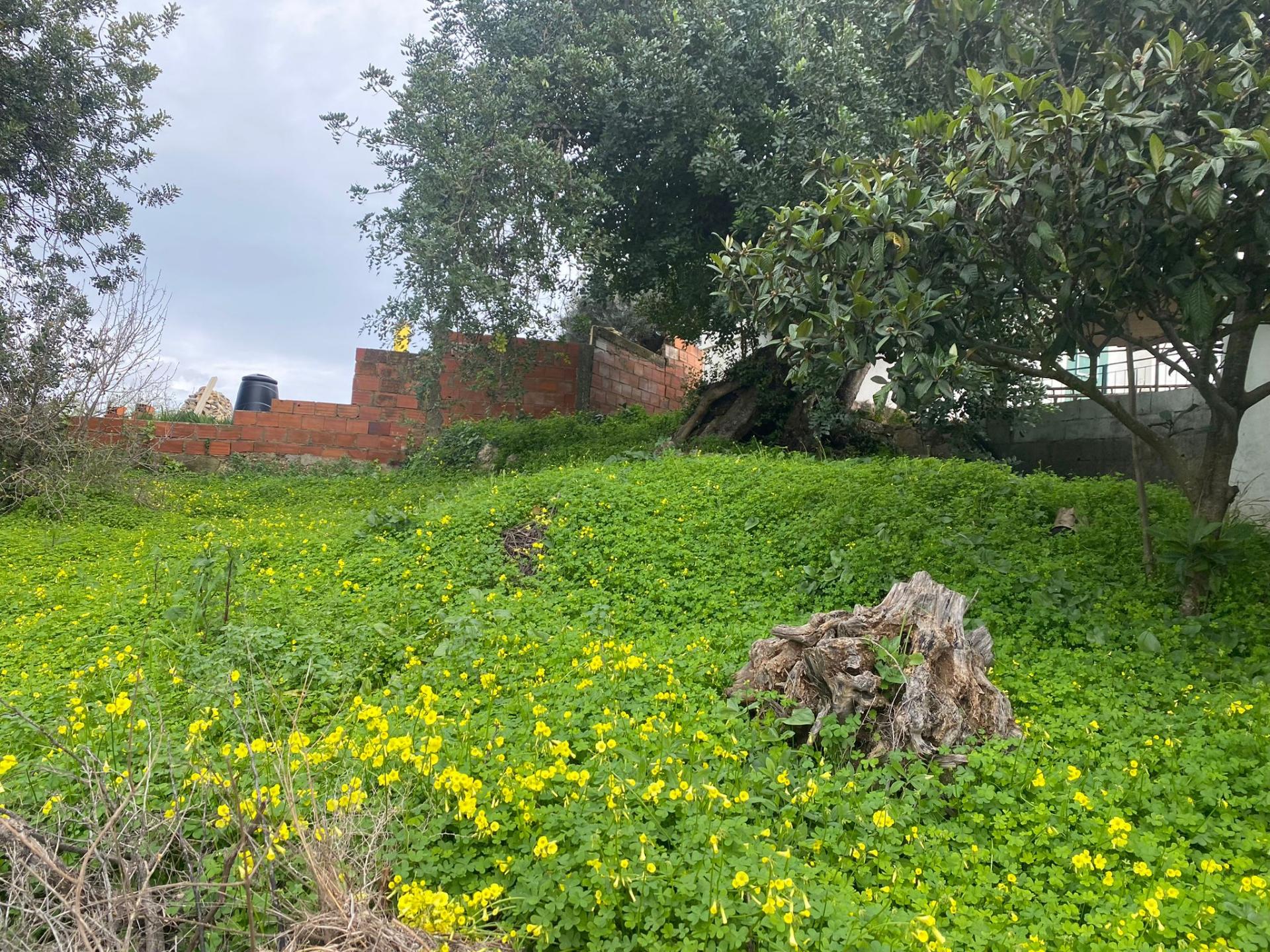 Terreno Rustico