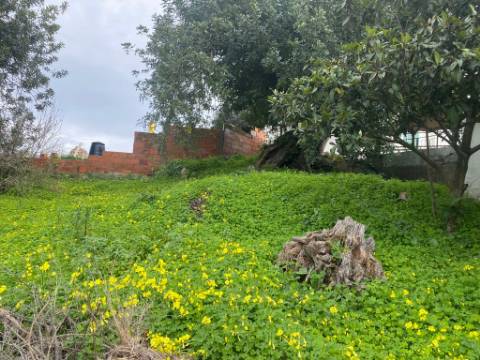 Terreno Rustico