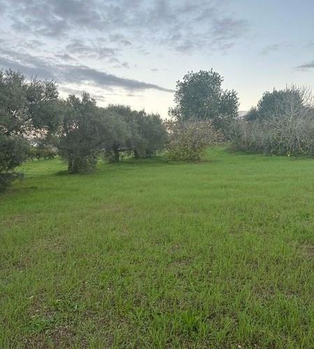 Terreno Rustico