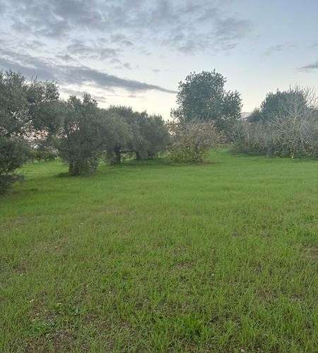 Terreno Rustico